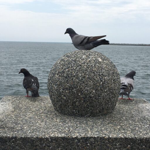 生命關頭